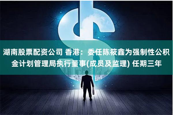 湖南股票配资公司 香港：委任陈筱鑫为强制性公积金计划管理局执行董事(成员及监理) 任期三年