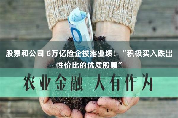 股票和公司 6万亿险企披露业绩！“积极买入跌出性价比的优质股票”