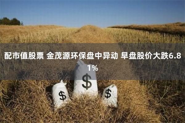 配市值股票 金茂源环保盘中异动 早盘股价大跌6.81%