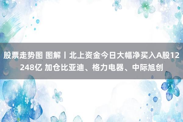 股票走势图 图解丨北上资金今日大幅净买入A股12248亿 加仓比亚迪、格力电器、中际旭创