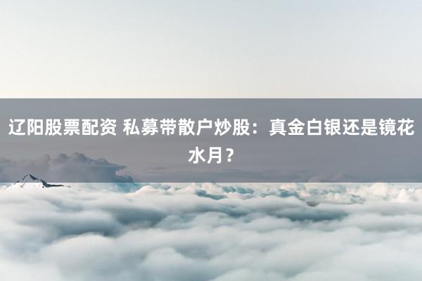 辽阳股票配资 私募带散户炒股：真金白银还是镜花水月？